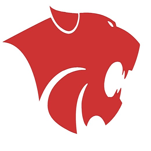 Basketball Recap: Linn Gets the Win