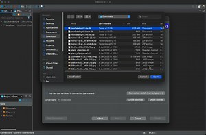 DBeaver for H2 Database connection
