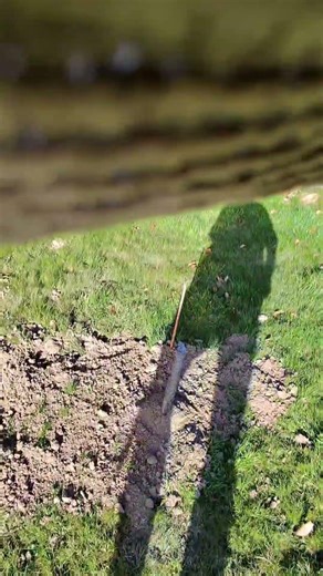 période de piégeage des Taupes #mrtaup