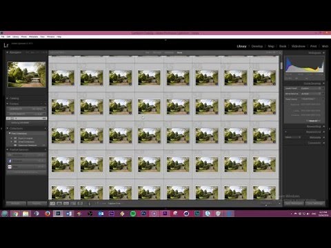 Copy paste adjustments to MULTIPLE photos in Lightroom