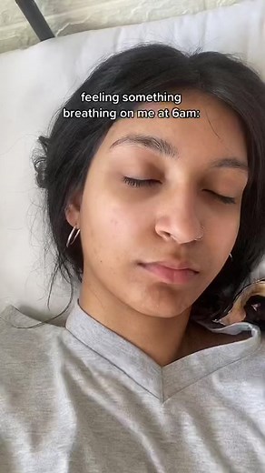 Funny Cat Moments: Tongue Out Compilation 🐱😜