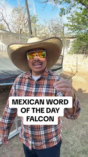 Exploring Bean Cheese Cool Arrow Meaning and Mexican Word of the Day Falcon