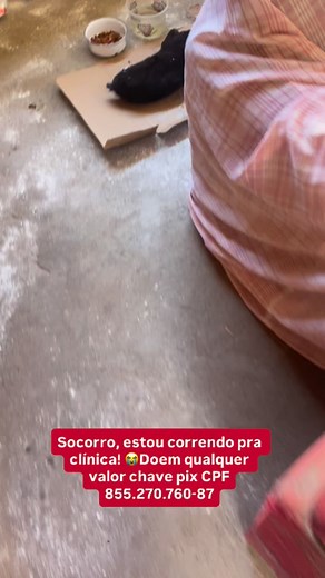 141K views · 4.2K reactions | Socorro!!! Estou voando pra clínica, mas preciso de ajuda gente, por favor doem qualquer valor via pix CPF 855.270.760-87  | Eduarda Pinheiro | Facebook