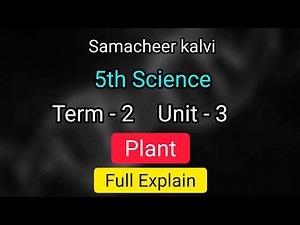 Plant | Unit 3 | term 2 | 5th std science | full explain | Samacheer kalvi | Class 5 unit 3 plant |