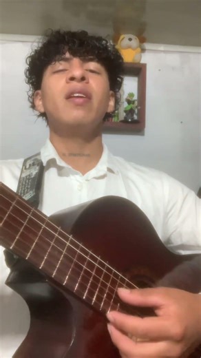 Alma corazòn y vida los panchos #viral #guitarra