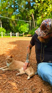 At the legendary Ernest Hemingway Home in Key West, the spirit of art and independence still lingers — even in the paws of the famous six- and seven-toed cats that roam the grounds. These cats are descendants of Hemingway’s own feline companion, Snow White, gifted to him by a ship’s captain in the 1930s. Each one carries the mark of a storyteller — polydactyl paws said to bring luck to sailors and artists alike. Sitting with one in my lap, it’s hard not to feel that same creative energy that onc