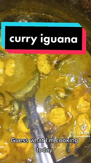 Chefdevinblue on TikTok