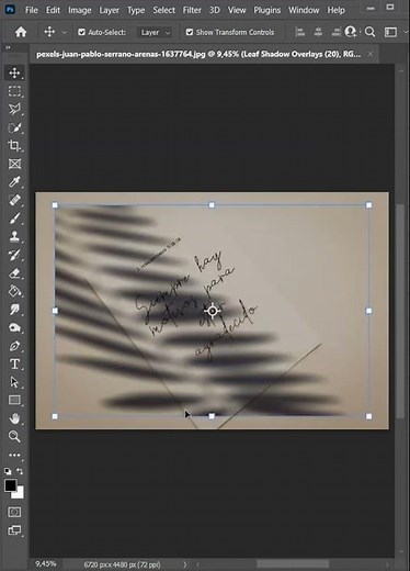 Leaf Shadow Overlays Photoshop. Branch Shadows, Organic Shadows, Plant Shadows, Action. How to Work.