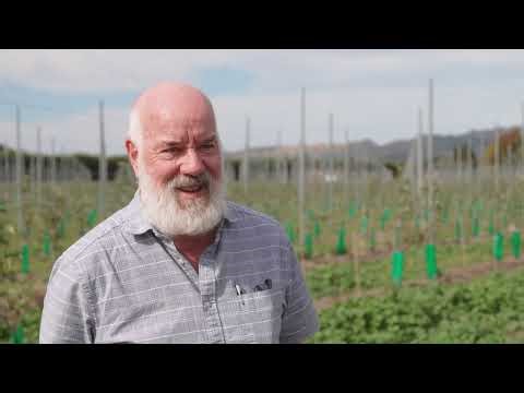 A Lighter Touch IPM series - Getting started with IPM