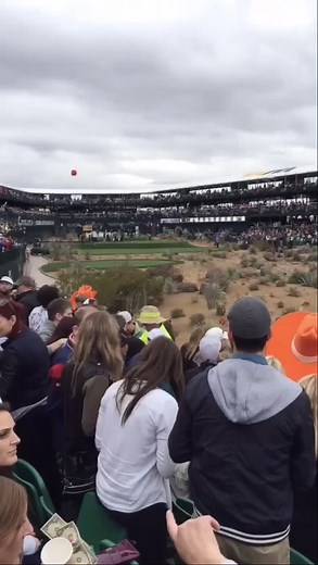 Francesco Molinari's Epic Hole-in-One at The Waste Management Open