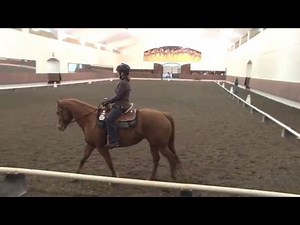 Western Dressage Test with Judge's comments