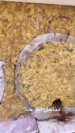 Exploring a Beehive: Close-Up of Bee Activity