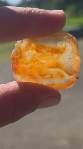 Carnelian Carnival!!! Rock of the Day! #carnelian #agate #lapidary #oregon #rockhounding