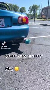 That's one take on the phrase "When pigs fly !" | Tire Agent | Facebook