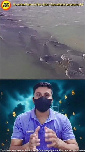 Siberia Fish Hunting technique #siberia #fishing