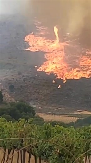 Fire Update: La Motte, Franschhoek Saturday, 17 January 2026 | 16:30 The Cape Winelands District Municipality (CWDM) Fire Services responded to a fire reported in La Motte, Franschhoek. Firefighting resources from CWDM and Stellenbosch Municipality are currently on scene, supported by aerial resources, contracted ground teams and Volunteer Wildfire Services (VWS) Aerial resources from multiple partners, Provincial Disaster Management Centre, the Winelands Fire Protection Association (FPA) as wel