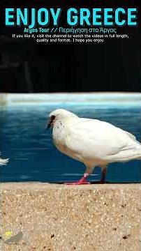 Argos Tour ⁄⁄ Περιήγηση στο Άργος #travel #summer #greece