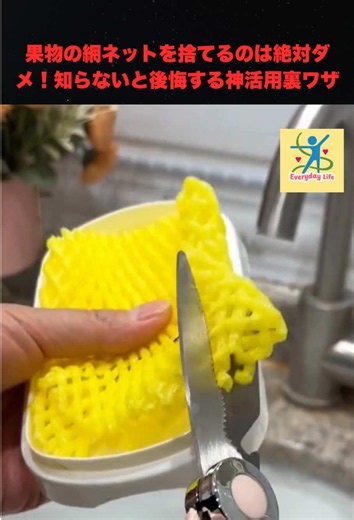 果物の網ネットの神活用裏ワザ