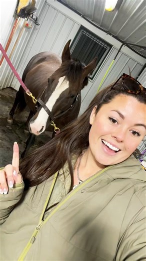 Annie is 335 days pregnant!🐴💕 | Katie Van Slyke