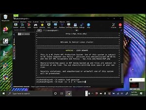 Accessing GaussView on Henry from a Windows Computer
