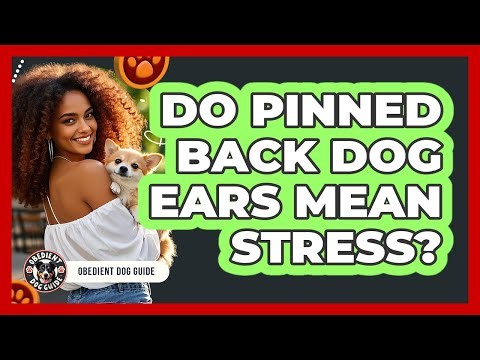 Do Pinned Back Dog Ears Mean Stress?