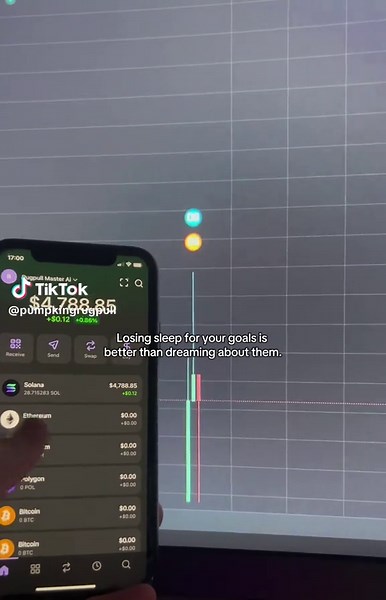 Understanding Rugpull Bots in Crypto Investments