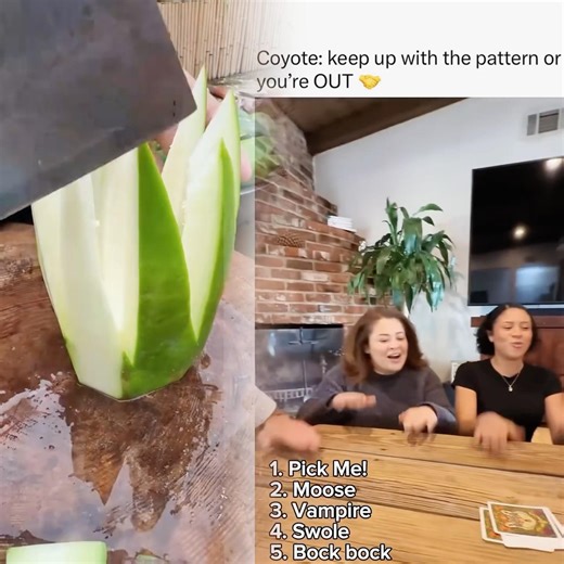 Coyote - The Card Game