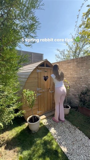 5 Spring Rabbit Care Tips 🌸 #rabbit #rabbitcare #spring #bunny