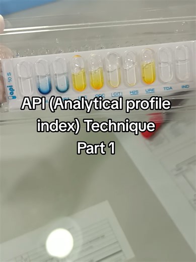 How to Use API KIT? #creatorsearchinsights #unfrezzmyaccount #foryou #fyp #trending #goviral #lablife #microbiology #API #kit #technique #labtechnologist #GNR #identification #growth #fypシ゚ #fypシ゚ #fypシ゚ #fypシ゚