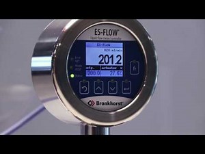🇩🇪 ES-FLOW Ultraschall-Durchflussmesser für niedrige Durchflüsse
