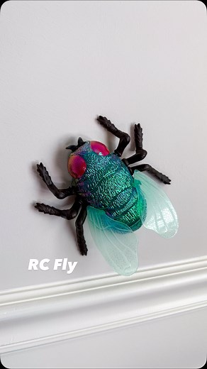 FOLLOW me and comment FLY for the link 🪰 This fly is my new favorite! It’s soooo shiny and realistic looking, I love it so much 😅 You can drive it on the ground, pop it onto the wall or ceiling, and it even has an auto-mode!! I saw it at #SweetSuite25 and knew my kids would go crazy for it 🤩 . . . . . #momof3 #momlife #toddlermom #momfinds #activitiesforkids #playideas #giftsforkids #toyreview #giftideasforkids #boymom #insects #playroom #rccar #newtoy #targetfinds @terrabybattat @thetoyinsid