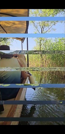 The Montenegrin Amazon: The Incredible Nature of Lake Skadar