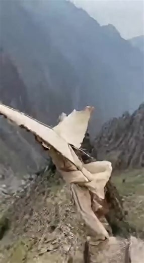 Vidéos de GURU PARIS DAA 🇵🇰❤️🇫🇷 (@guru.paris.daa) avec original sound - GURU PARIS DAA 🇵🇰❤️🇫🇷