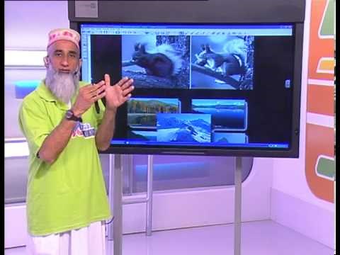 Evolution: Natural Selection