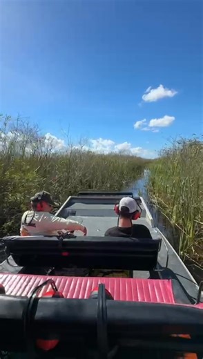 Explore the Everglades like never before! Join Everglades Nature Tour for an unforgettable journey through Florida’s unique wetlands. Spot alligators, exotic birds, and stunning scenery while cruising safely with our expert guides. Adventure awaits ! book your tour today and experience the wild side of Florida! 🌿🛶🐊 | Everglades Nature Tours