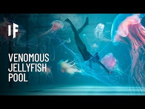 What If You Fell Into a Pool of Jellyfish?
