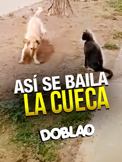 Aprende a bailar la cueca chilena fácilmente
