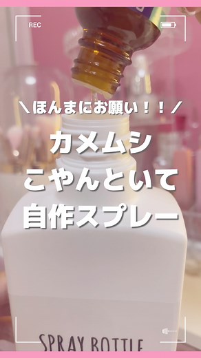 カメムシ対策と虫よけスプレーの作り方
