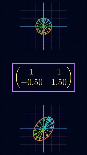 Effect of a linear transformation #linearalgebra #mathematics