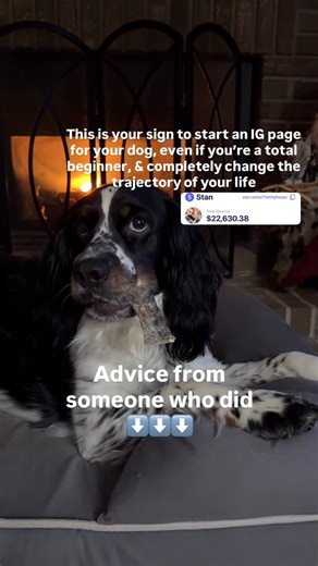Zero + Sarah Highway | Grow + Monetize Your Pet’s IG on Instagram: "START HERE 👇 • Passive Pawfits is the step by step system I created to show TOTAL beginners how to set up the exact same monetization framework I use to turn my dog’s Instagram content into daily sales. • To date, it’s helped us generate over $22k in digital product sales using traffic from dog content alone. • Comment DOG if you want the breakdown of how we did it • Does all of my content go viral? • HA! • No 😂 Go look at my 
