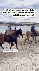 Give us your best line or story!? Let’s find the pros out there. #steverotherhorsemanship #SchoolofHorse #horsedevelopment | Steve Rother Horsemanship - The School of Horse