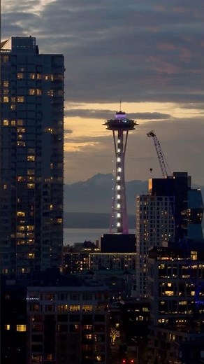 Epic view of light show on the Space Needle #seattle #4k #shorts