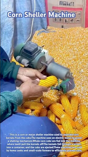 Corn Sheller Machine