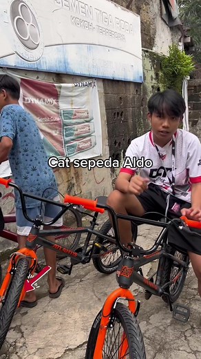 Cat Sepeda Aldo: Kreativitas dalam Modifikasi Sepeda