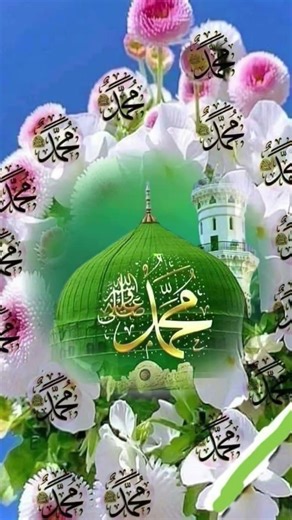 ya Allah jo bhi is video ko like kare ga use jannat naseeb ata farmae aameen