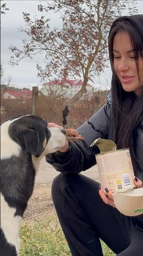 Thank you for feeding me…" — a look you’ll never forget