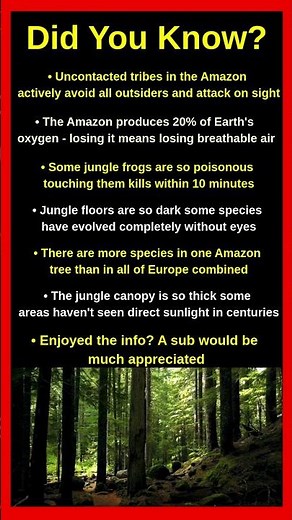 Things That Happen In The Deep Jungle 🌿😱