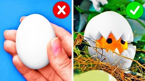 79K views · 25 reactions | ASTUCES AVEC DES ŒUFS QUI VONT TE SURPRENDRE | DÉLICIEUSES RECETTES AVEC DES ŒUFS POUR TOUT LE MONDE: | Brico Enfants | Facebook