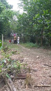 4K views · 46 reactions | 16-Year-Old Single Mother's Journey to Rescue Her Ex-Husband, Small Family Unexpectedly Reun.Ep4 | Star TV | Facebook