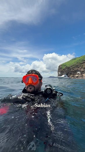 Islas Galápagos: Reserva Marina y Aventura Submarina